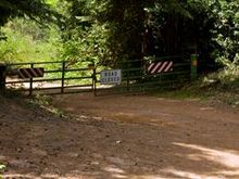 This is what we mostly found. Waiting for the Forestry Service to open up the gates.