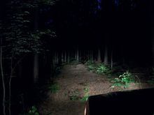 nite wheelin (3)