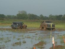 529332 338868406169520 100001390900893 984921 641799898 n


A LITTLE STUCK