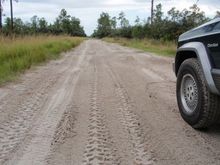 Great road when damp.