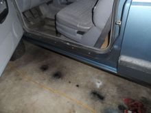stainless screws in the sill plates