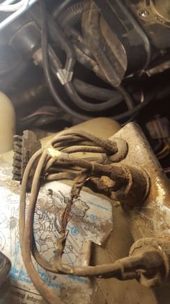 2nd round, these wires melted on driver side, near air cleaner. yellow pieces attach to vacuum lines. not sure what this whole thing is? connects to pigtail that had a red/white wire, potentially same red/white wire as from 1st melted green wire?