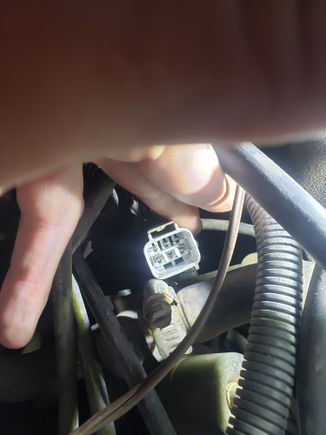 This is the male connector that is part of the jeep harness.