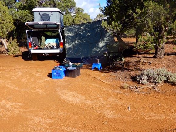 Still trying to dry and drain after the rain