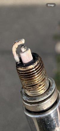 No idea how old these plugs are


