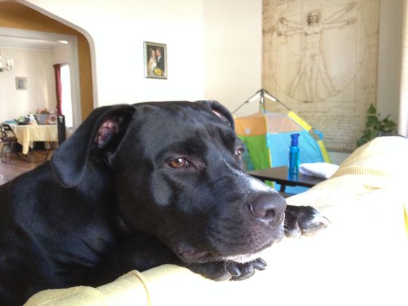 Ever watchful.