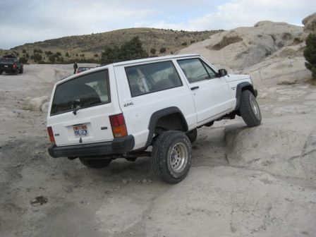 Flex test