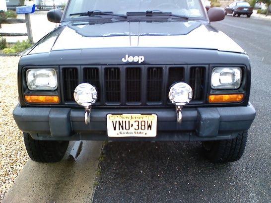 My new fogs