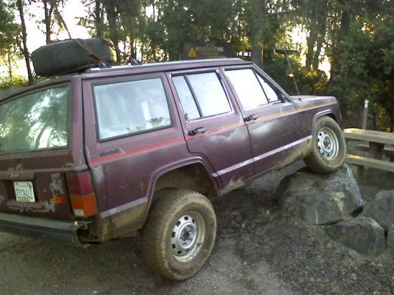 Stock flex @ cow