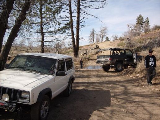 stopping a the water hole