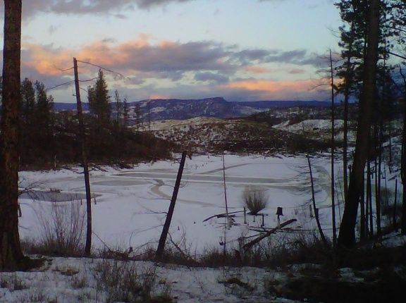 IMG00152 20110117 1621
