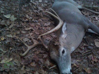 same 8 pointer