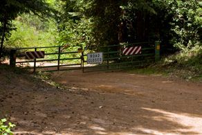 This is what we mostly found. Waiting for the Forestry Service to open up the gates.