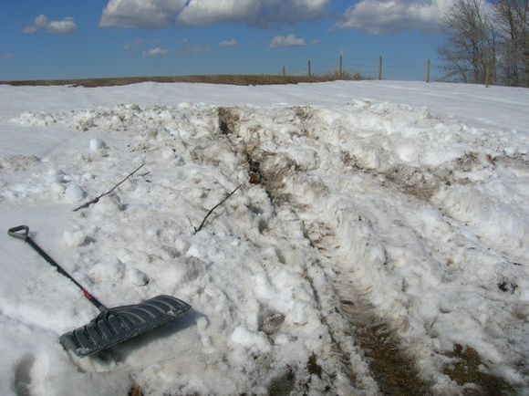 called a buddy to bring a shovel and thats what he brought