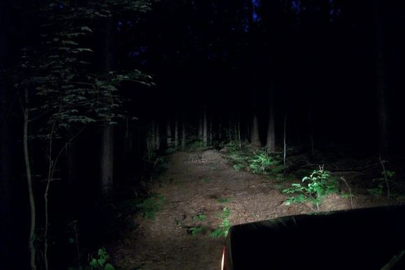 nite wheelin (3)