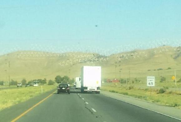 2011 08 25 17.27.36 1
Wind generators in Cali. Looks like someone got a bulk discount.