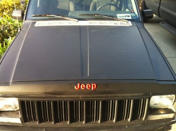 IMG 

Hood 
(Red plasti dipped badges)