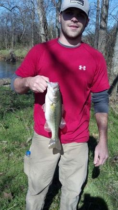Little Bass