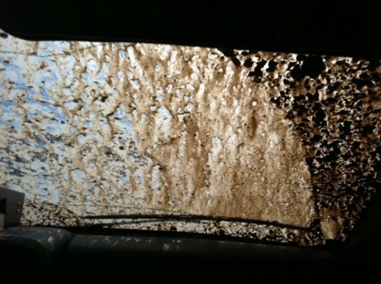 3-31-2012 fall creek run