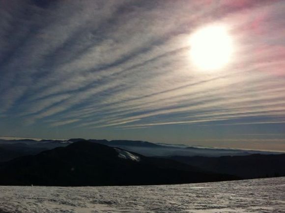 268496 10151355597338407 209939388 n