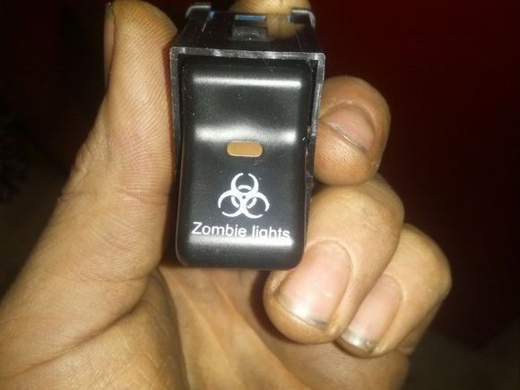 Zombie Fog Light Switch!
