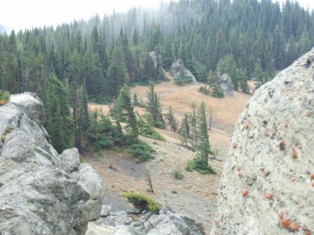 Top Trail