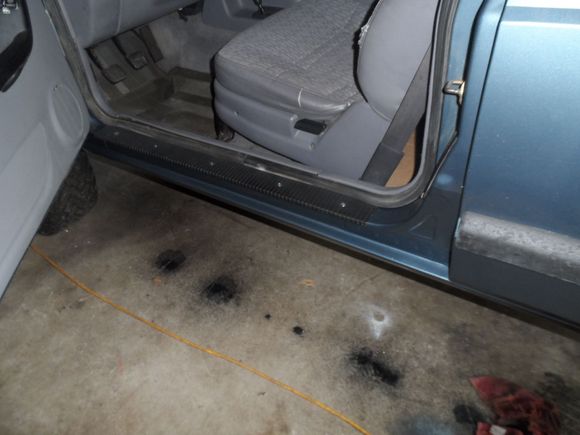 stainless screws in the sill plates