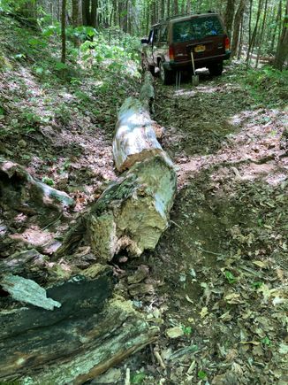 Rotten but very heavy dead tree across trail - towed away via Cherokee May 2024