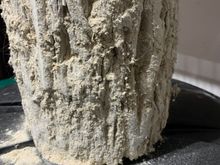 It’s caked in the filter element! 