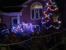 Put up our Christmas lights, a little early, but it’s in the mid 50’s and dry , so why not! 