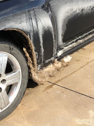 Filthy dirty and fender poop !