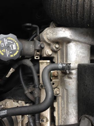 Notice, no VVT solenoids 
