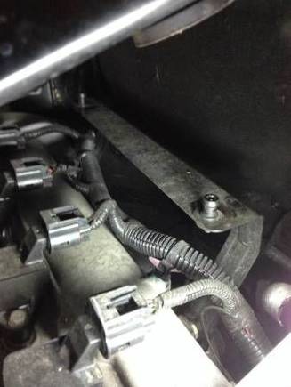 That’s one right there in it’s natural habitat, check it for cracks or broken completely 