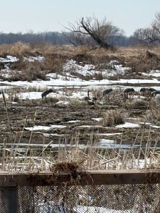 In this area of the bay as you drive down to Long Point. 