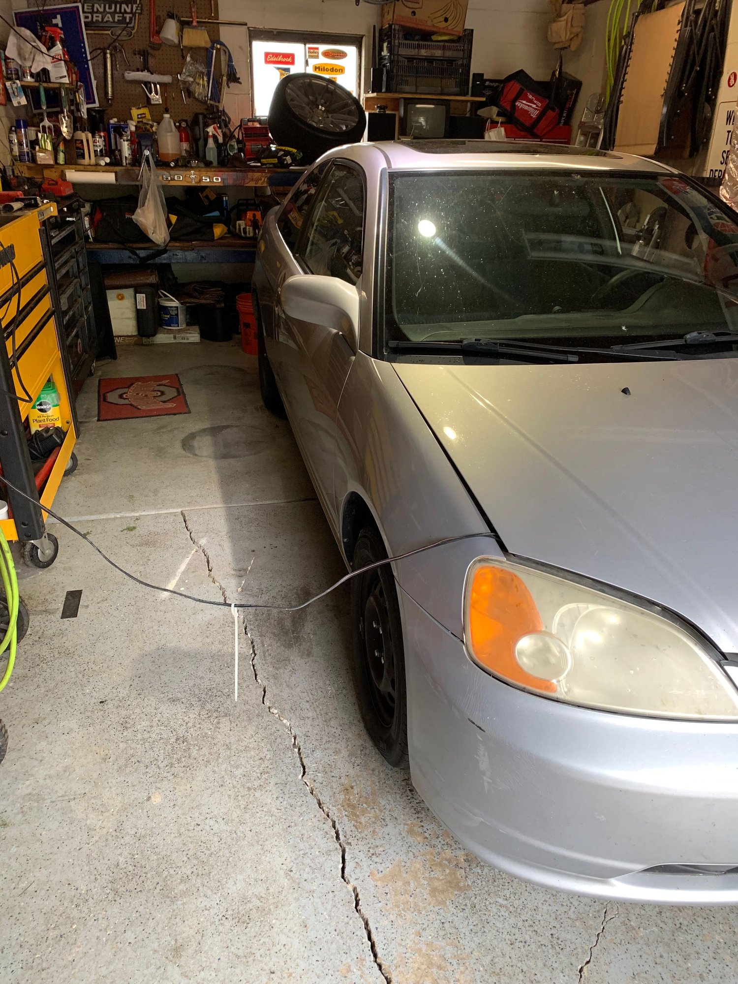 Exterior Body Parts - Passenger Door (coupe) - Used - 2001 to 2003 Honda Civic - Dayton, OH 45419, United States