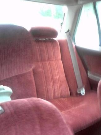 Backseat