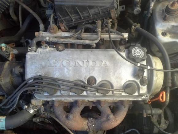 Before Removal