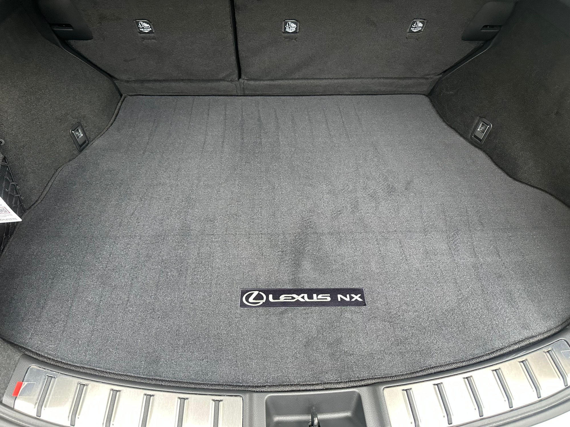 Interior/Upholstery - NX 250 Floor mats - New - 2022 to 2026 Lexus NX - Oxnard, CA 93036, United States