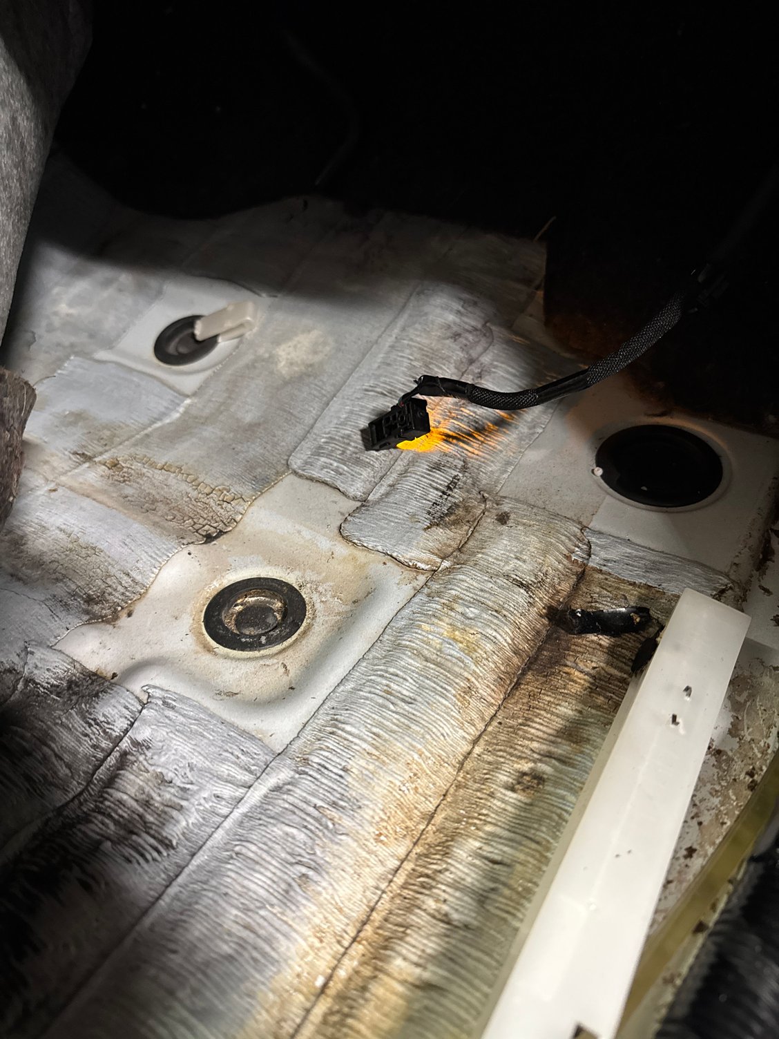 Mildew on floor pans