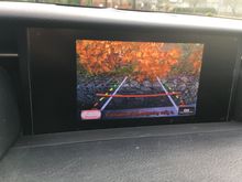 My Post Pictures