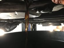 Oil looked good but the drain plug was literally finger tight so that was panic inducing! Loose plug on a $47k is always a great feeling....thanks ford! 