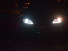 Its amazing how the factory halogens seem very yellow.