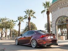 lexus is rear spats