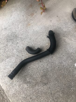 Old hose actually broke when I removed it