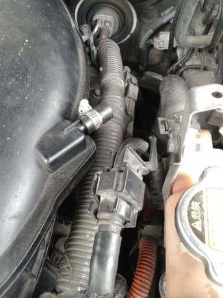 After engine settle down i did conect hose to this side and repeated same procedure.you can see small clamp i have add for tight fit ...no vacum leak.