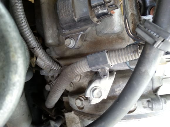 1998-2000 LS400 (1995 - 1997?)

Wire harness plastic clamp located between power steering pump reservoir and passengee side valve cover that has expired.