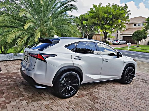 2019 F sport, Lower springs,  camber correction, chrome areas removed