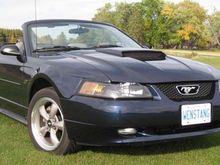 2002 True Blue GT vert