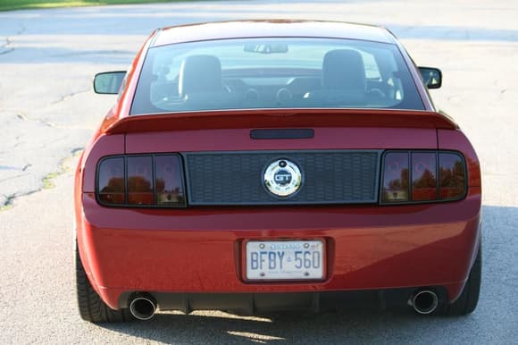 Smoked Taillights, Silver Horse Racing Honeycomb Deck Lid Panel and Stack Racing Black Tail Light Trim Bezels.
