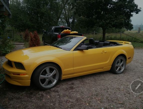 My new used toy i cant drive v6 blown head gaskets. 
62 and waiting for heart surgery. Can anyone help. 
jaet3242@hotmail.com